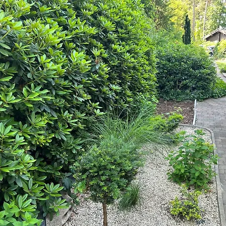 Haus Kaninchenhoehle 度假居