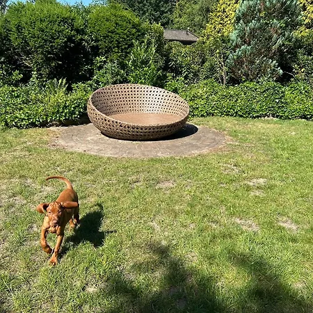 Haus Kaninchenhoehle Dankern